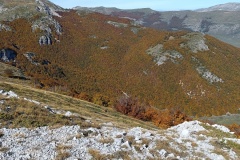 IMG_20241013_120541