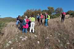 IMG-20231029-WA0008