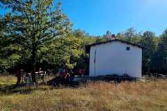 IMG-20231029-WA0031