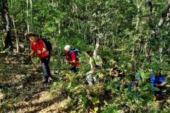 IMG-20231029-WA0033