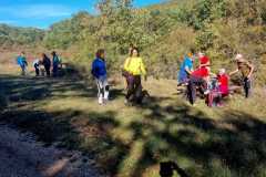 IMG-20231029-WA0038