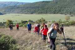 IMG-20231029-WA0051