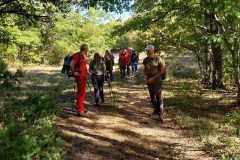 IMG-20231029-WA0058