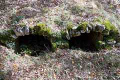 IMG-20231029-WA0065