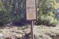 IMG-20231029-WA0072