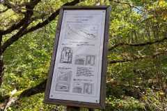 IMG-20231029-WA0077