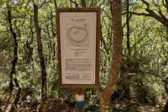 IMG-20231029-WA0081