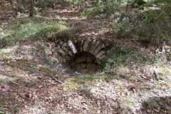 IMG-20231029-WA0100