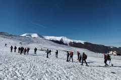 IMG-20250223-WA0034