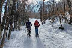 IMG-20250223-WA0039