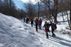 IMG-20250223-WA0041