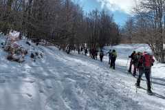 IMG-20250223-WA0043
