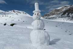 IMG-20250223-WA0046