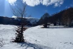 IMG-20250223-WA0055