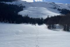 IMG-20250223-WA0059
