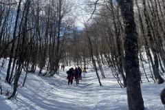IMG-20250223-WA0060