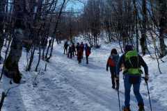 IMG-20250223-WA0074