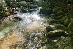 IMG_20240505_100850