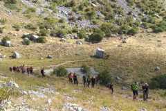 IMG-20230918-WA0001
