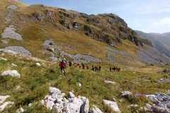 IMG-20230918-WA0004