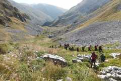 IMG-20230918-WA0005