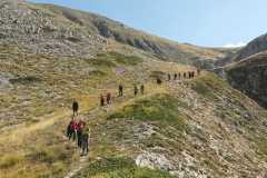 IMG-20230918-WA0007