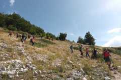 IMG-20230918-WA0008