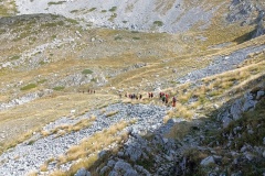 IMG_20230917_111925