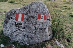IMG_20230917_121800