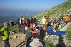 IMG_0020