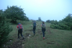 DSCN2536