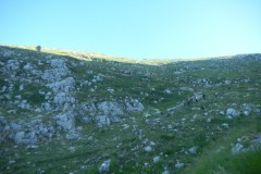 DSCN2547