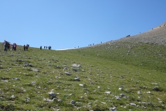 DSC02656