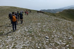 IMG_20240707_100443