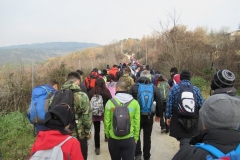 IMG_0495e