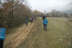 IMG_0502c
