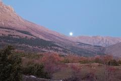 IMG_20231226_170357