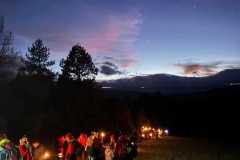 IMG-20241227-WA0029