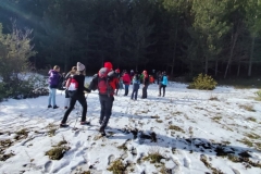 IMG-20241227-WA0036