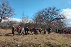 IMG-20241227-WA0041