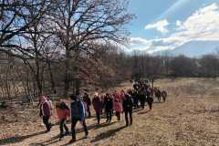 IMG-20241227-WA0045