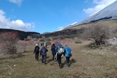 IMG_20241226_112402