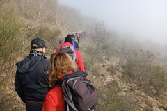 IMG_20221226_104958
