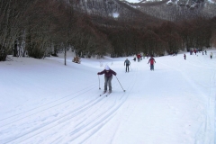 DSCN3848