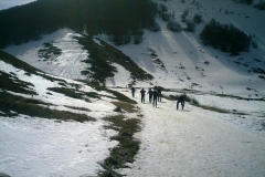 IMAG0159