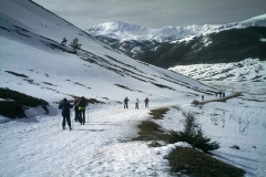 IMAG0162