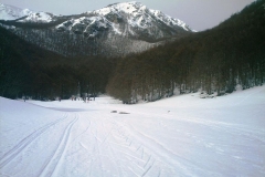 IMAG0194