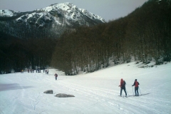IMAG0199