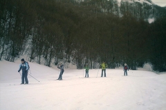 IMAG0217
