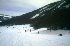 IMAG0224